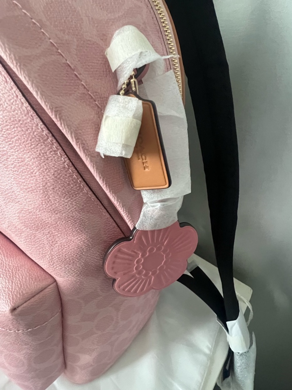 Coach Taylor Backpack In Powder Pink Color - Picture 7 of 9